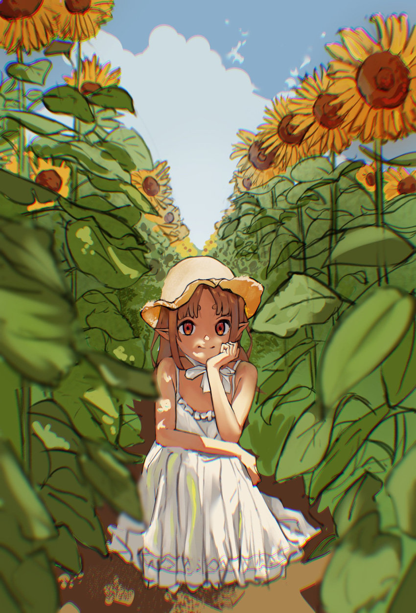 1girl, blue_sky, brown_hair, commentary, day, dress, elf, english_commentary