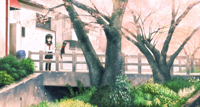cat, cherry_blossoms, flower, kimura_(pixiv178485), original, school_uniform, solo, tree