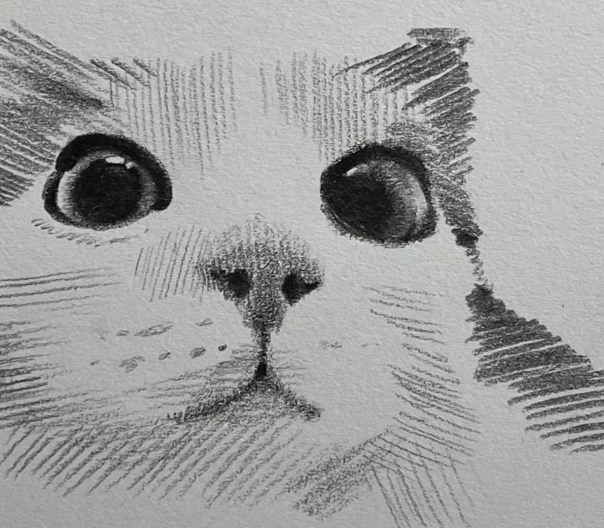 animal_focus, cat, close-up, closed_mouth, commentary, eueu185042, graphite_(medium), greyscale, hatching_(texture), highres, looking_at_viewer, meme, monochrome, no_humans, original, sketch, symbol-only_commentary, traditional_media