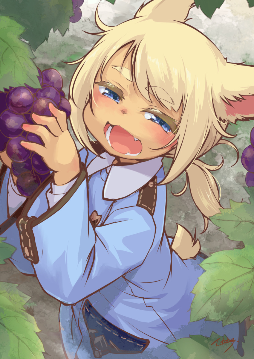 1girl, animal_ears, banubeefriends, blonde_hair, blue_coat, blue_eyes, blush, cat_ears
