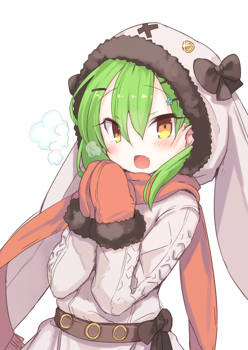 1girl, animal_hood, armadillon, belt, breath, brown_belt, brown_ribbon, coat