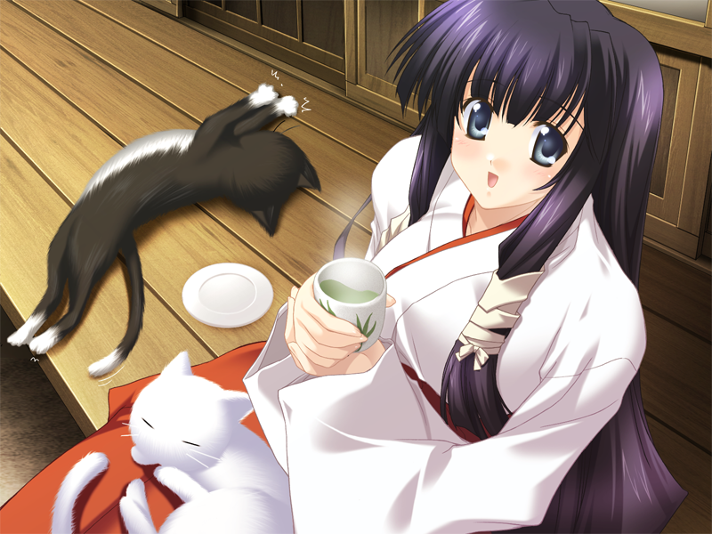 1girl, animal, animal_on_lap, baby_animal, black_cat, black_hair, blue_eyes, calico_(pattern)