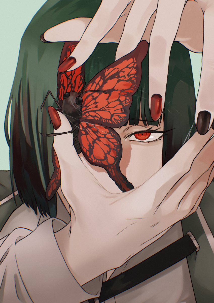 black_hair, bug, butterfly, chest_belt, constricted_pupils, eye_focus, highres, limbus_company