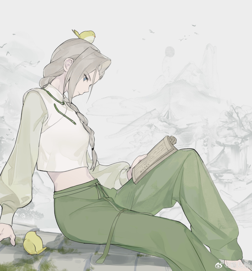 1girl, absurdres, animal_on_head, bird, bird_on_head, book, braid, braided_ponytail