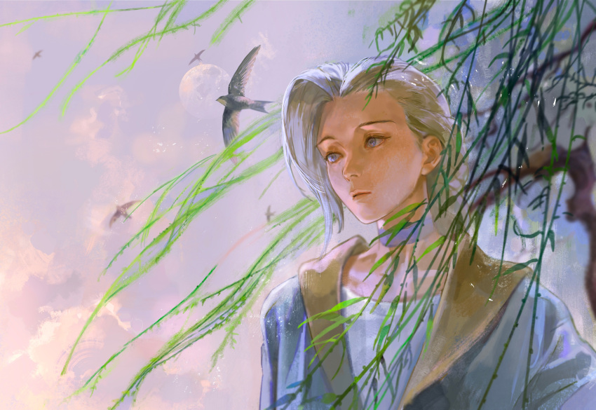 1girl, absurdres, bird, blue_choker, blue_jacket, braid, braided_ponytail, choker