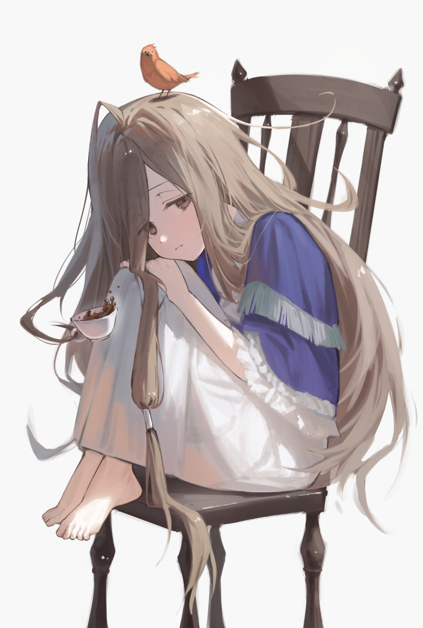 1girl, absurdres, animal_on_head, barefoot, bird, bird_on_head, blue_capelet, brown_eyes