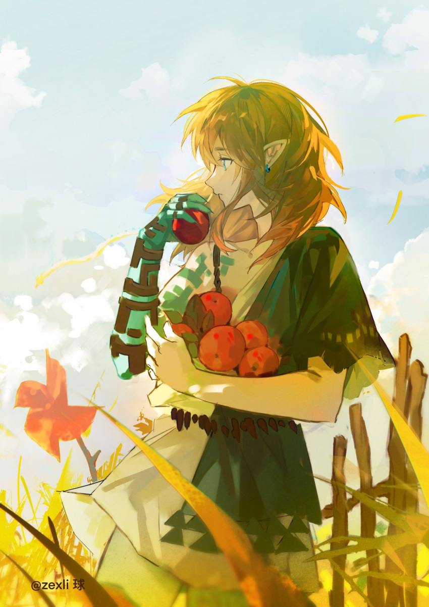 1boy, apple, aqua_eyes, blonde_hair, clouds, cloudy_sky, cowboy_shot, earrings