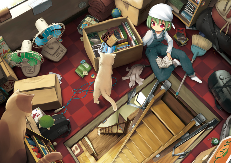 bag, blanket, book, bookshelf, box, broom, cat, checkered