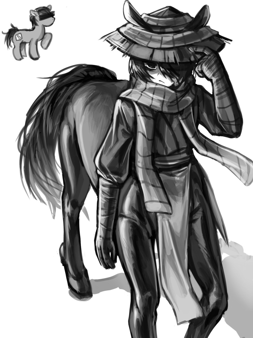 1boy, animal_ears, bandage_over_one_eye, black_eyes, black_hair, centaur, conical_hat, full_body