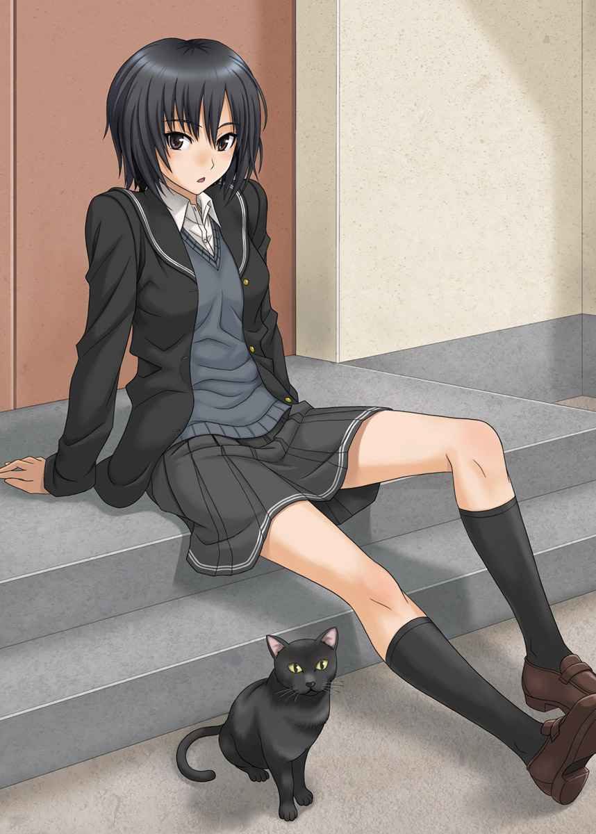1girl, amagami, arm_support, black_hair, black_legwear, blush, cat, footwear