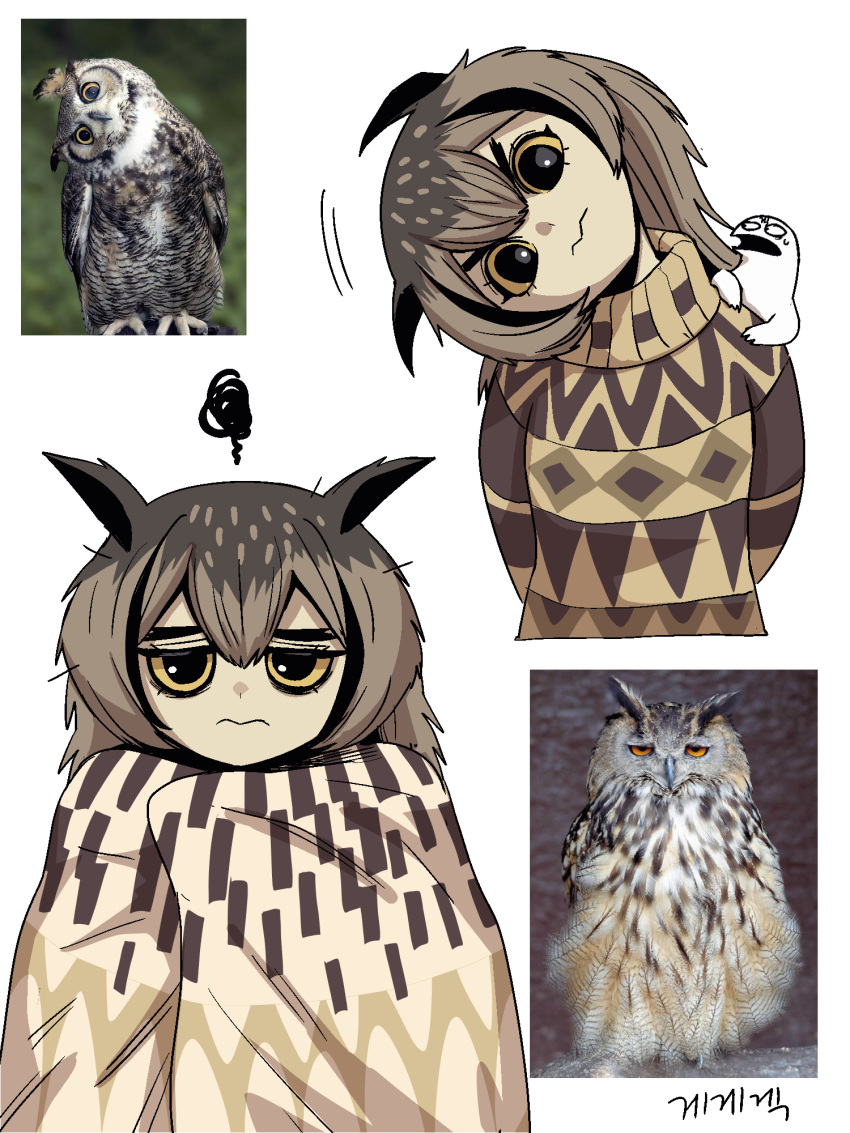 1girl, bird, bird_girl, black_eyes, brown_hair, colored_sclera, creature_and_personification, eagle-owl_(gegegekman)