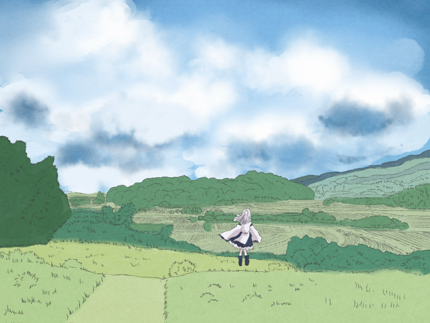 1girl, black_skirt, blue_sky, bush, clouds, commentary_request, day, field, full_body, grass, highres, japanese_clothes, kariginu, long_hair, mononobe_no_futo, mountain, no_headwear, osushi_daisuki, outdoors, rice_paddy, robe, scenery, skirt, sky, solo, standing, touhou, tree, white_robe