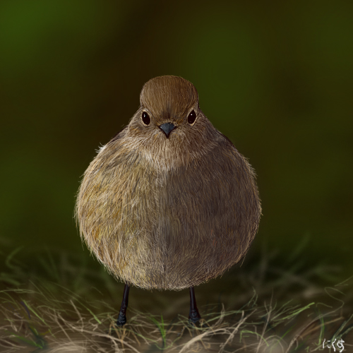bird, daurian_redstart, lowres, nixdirushi, no_humans, original, standing