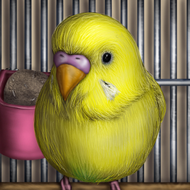 bird, birdcage, budgerigar_(bird), cage, lowres, nixdirushi, no_humans, original