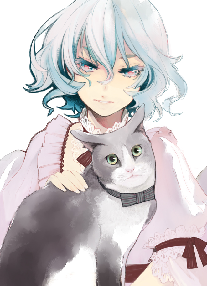 blue_hair, bow, bowtie, bust, cat, multicolored_eyes, remilia_scarlet, short_hair