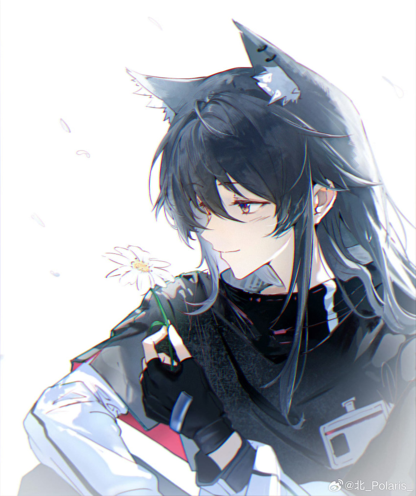 1girl, absurdres, animal_ear_fluff, animal_ear_piercing, animal_ears, arknights, black_gloves, black_hair