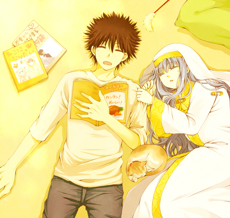 black_hair, book, cat, index, kamijou_touma, long_hair, nun, robe