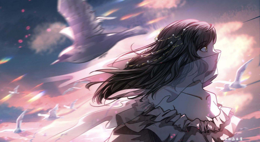 1girl, :o, artist_name, backlighting, bare_shoulders, bird, black_hair, blue_sky