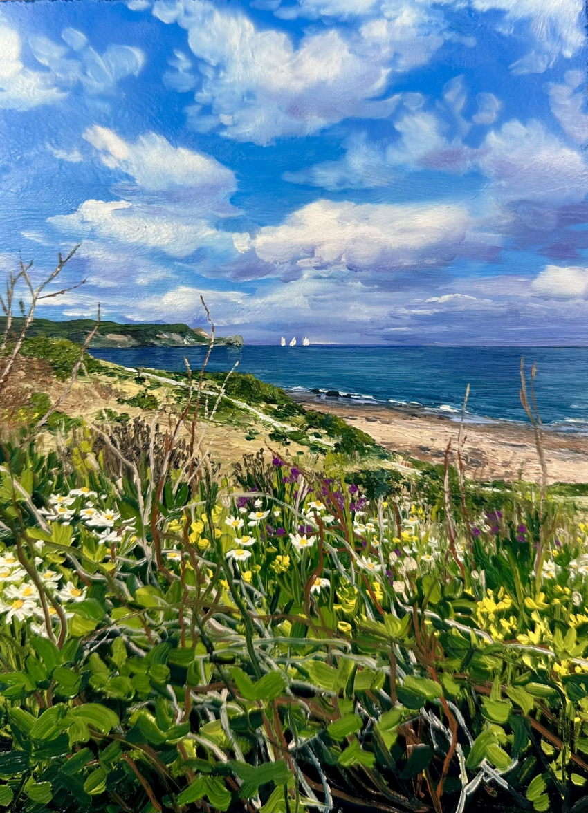 beach, clouds, cloudy_sky, commentary, day, england, english_commentary, flower