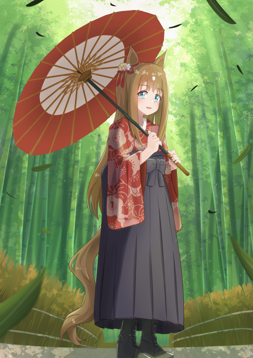 1girl, alternate_costume, animal_ears, bamboo, bamboo_forest, black_hakama, blue_eyes, blush