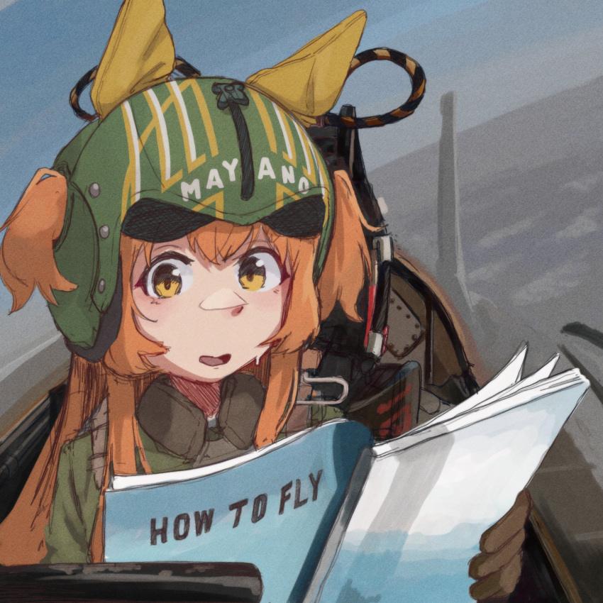1girl, aircraft, airplane, animal_ears, blush, bomber_jacket, book, brown_gloves