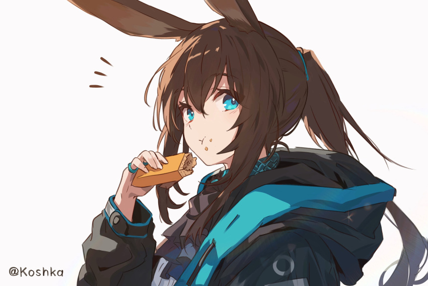 1girl, amiya_(arknights), animal_ears, arknights, ascot, black_ascot, black_jacket, blue_eyes