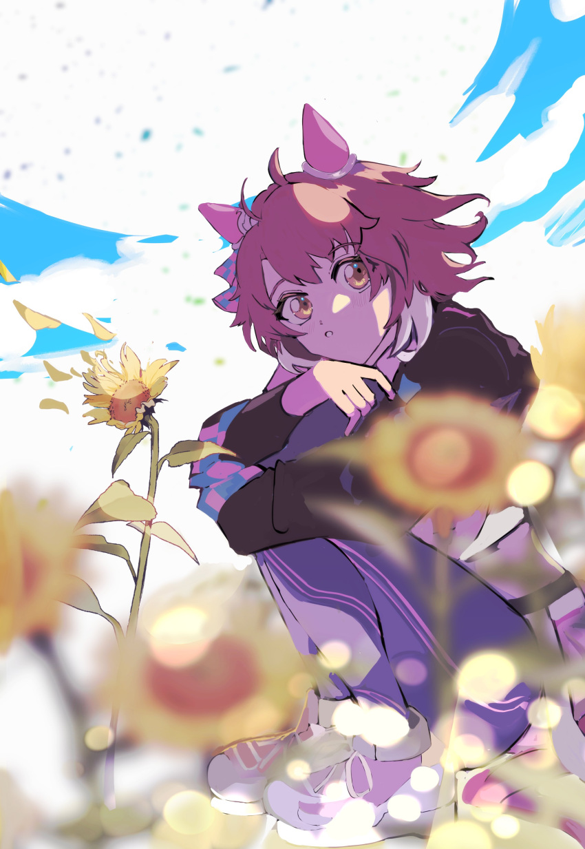 1girl, absurdres, ahoge, animal_ears, black_shrug, blue_sky, breasts, brown_eyes, brown_hair, clouds, cropped_shirt, dantsu_flame_(umamusume), ear_covers, ear_ornament, ear_ribbon, flower, hair_between_eyes, highres, hissinikaiteru, horse_ears, horse_girl, hugging_own_legs, knees_up, leggings, leggings_under_shorts, long_sleeves, looking_at_viewer, multicolored_hair, petals, pink_shirt, pink_shorts, shirt, shoes, shorts, shrug_(clothing), sky, solo, squatting, umamusume, white_hair
