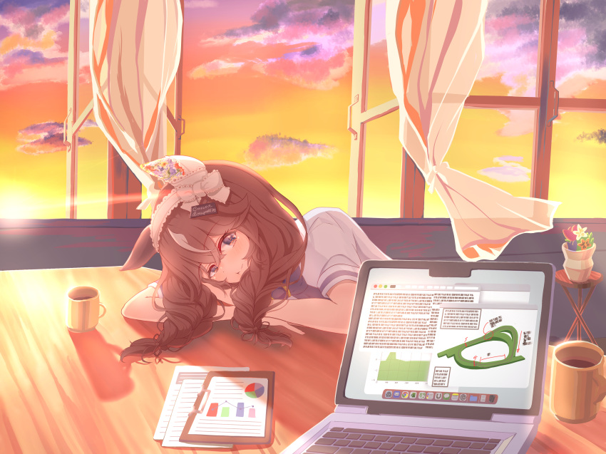 1girl, absurdres, animal_ears, braid, clouds, commentary_request, computer, cup