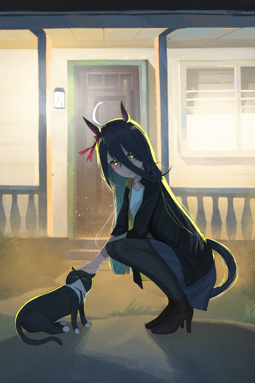 1girl, ahoge, animal_ears, black_cat, black_jacket, black_pantyhose, black_shoes, blush