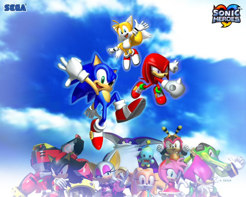 3girls, 6+boys, amy_rose, arthropod_boy, bat_girl, bee_boy, big_the_cat, black_fur
