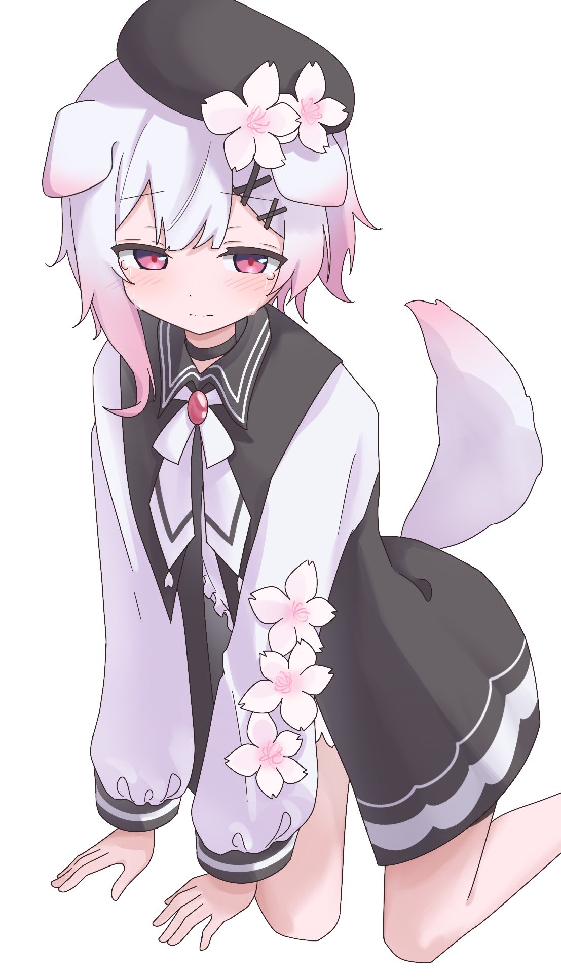 1girl, animal_ears, beret, black_dress, black_hat, dog_ears, dog_girl, dog_tail