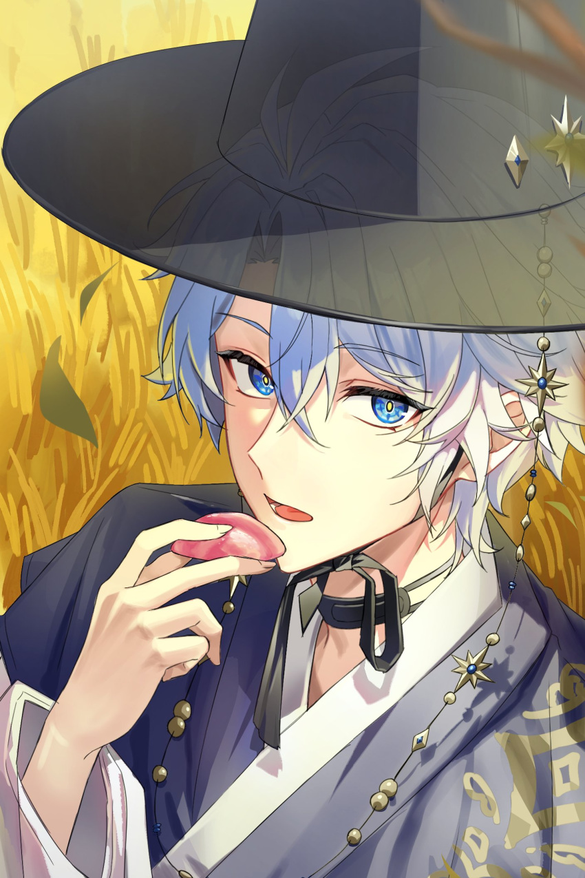 1boy, alternate_costume, black_hat, blue_eyes, blue_hanbok, commentary, gat_(hat), hanbok