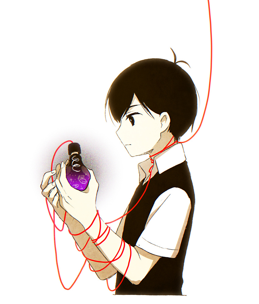 1boy, absurdres, antenna_hair, black_eyes, black_hair, black_sweater_vest, bright_pupils, chromatic_aberration