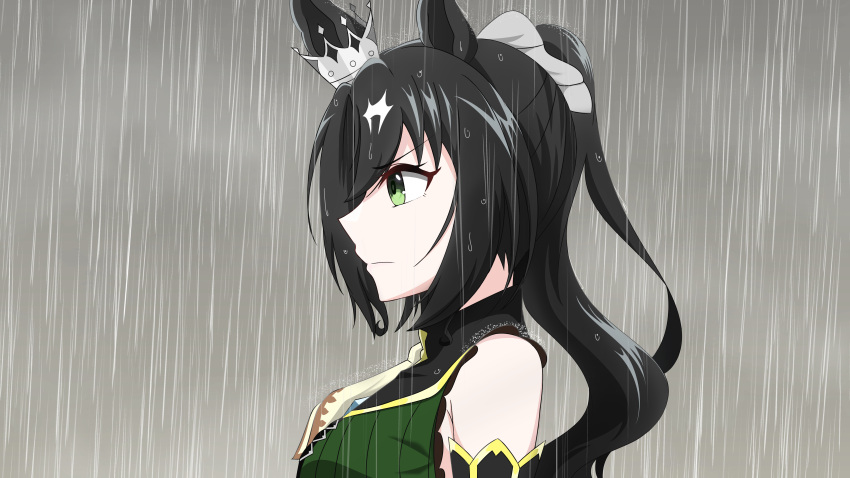 1girl, absurdres, abyss_kpn_(ki), animal_ears, black_hair, ear_through_crown, from_side, green_eyes