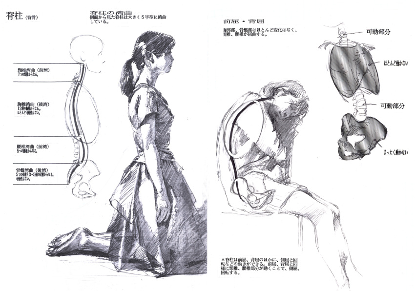 bone, copyright_request, misawa_hiroshi, monochrome, pelvis, ponytail, spine