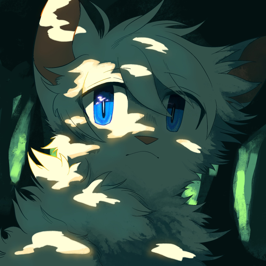 ahoge, animal, animal_focus, animal_with_hair, blue_eyes, cat, cloudtail, fluffy