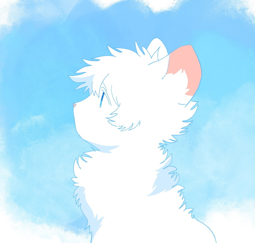 animal, animal_focus, animal_with_hair, blue_background, blue_eyes, cat, cloudtail, commentary_request