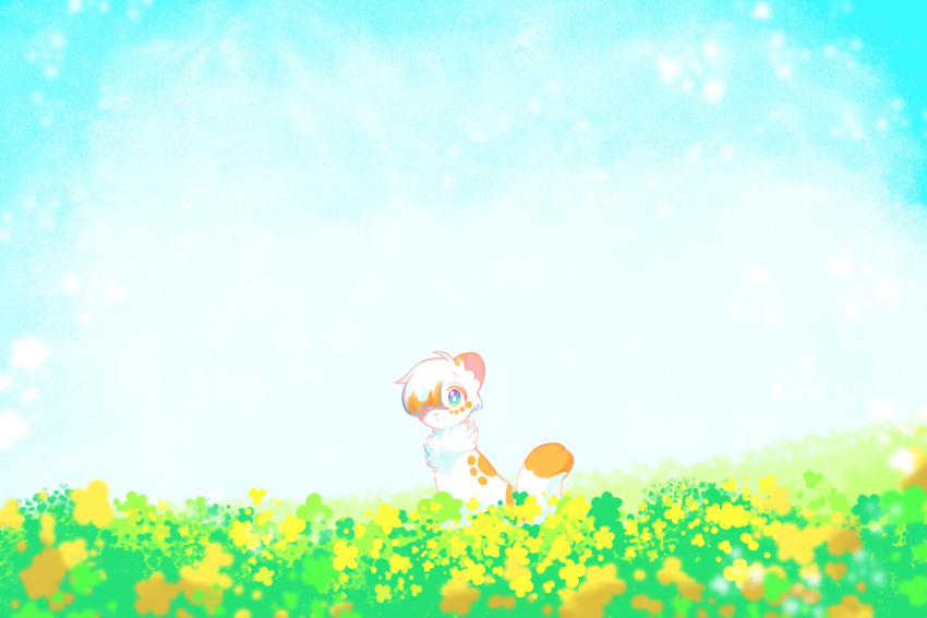 animal, animal_focus, animal_with_hair, blue_sky, brightheart, cat, commentary_request, flower
