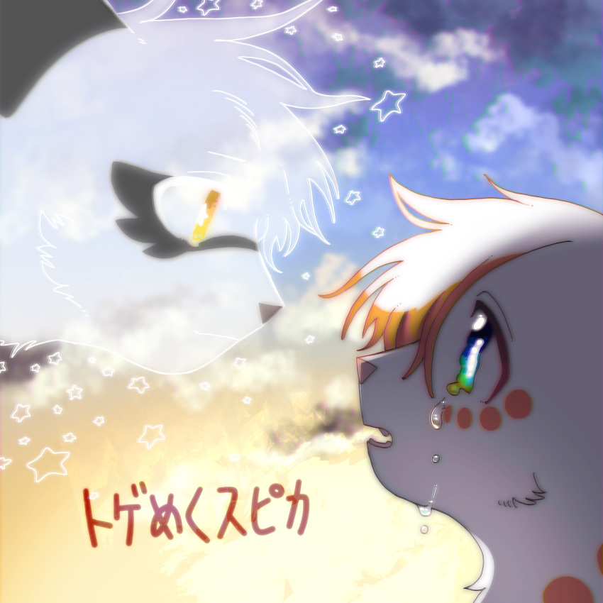 animal, animal_focus, animal_with_hair, brightheart, cat, commentary_request, crying, eye_contact