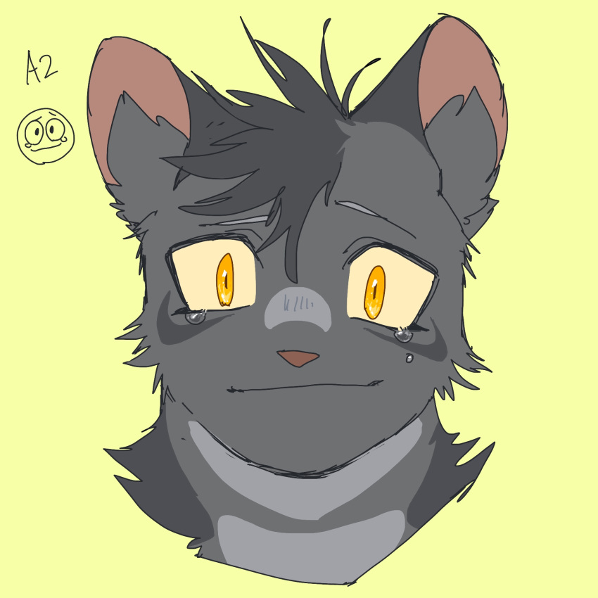 animal, animal_focus, cat, commentary_request, cropped_head, graystripe, grey_cat, highres