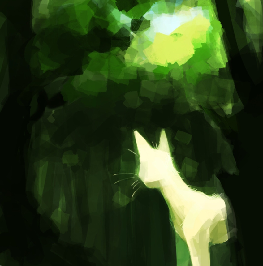 animal, animal_focus, cat, commentary_request, forest, nature, neko_gokoro, no_humans