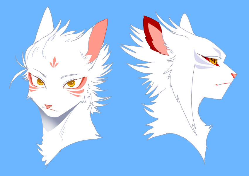 animal, animal_focus, blue_background, cat, commentary_request, cropped_head, highres, looking_at_viewer