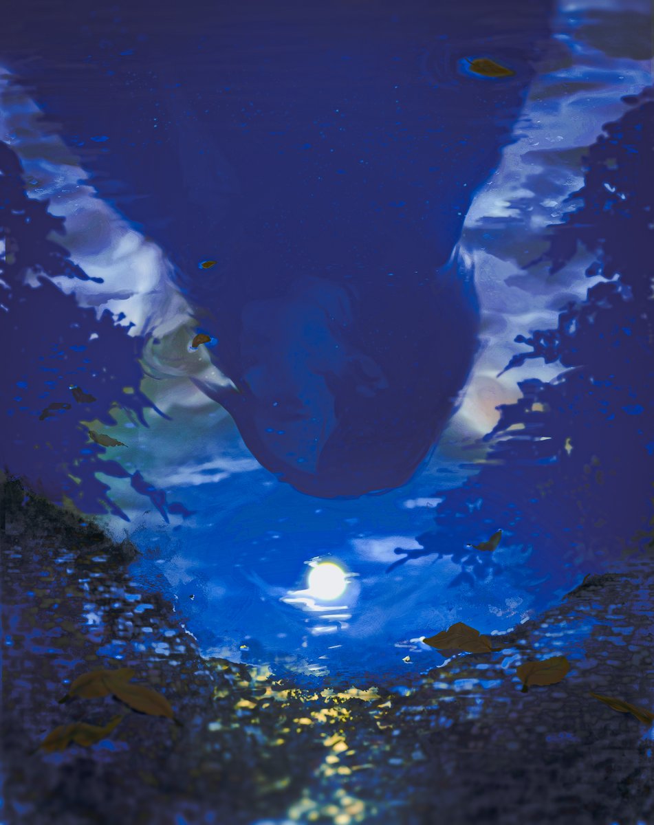 highres, jeyem_liwanag, leaf, moon, original, reflection