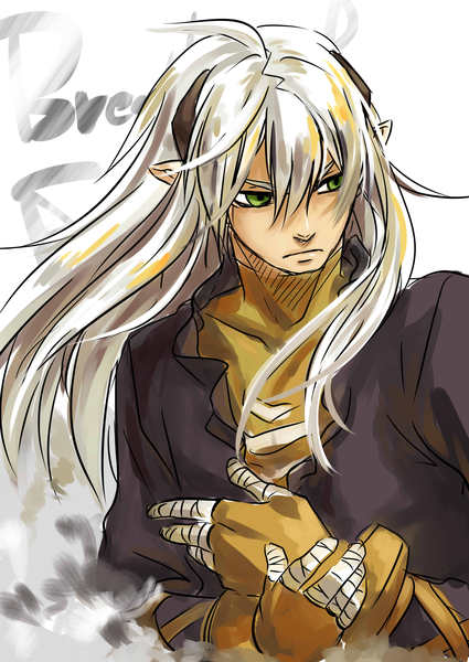 breath_of_fire, breath_of_fire_iv, fou-lu, gloves, green_eyes, long_hair, pointy_ears, white_hair