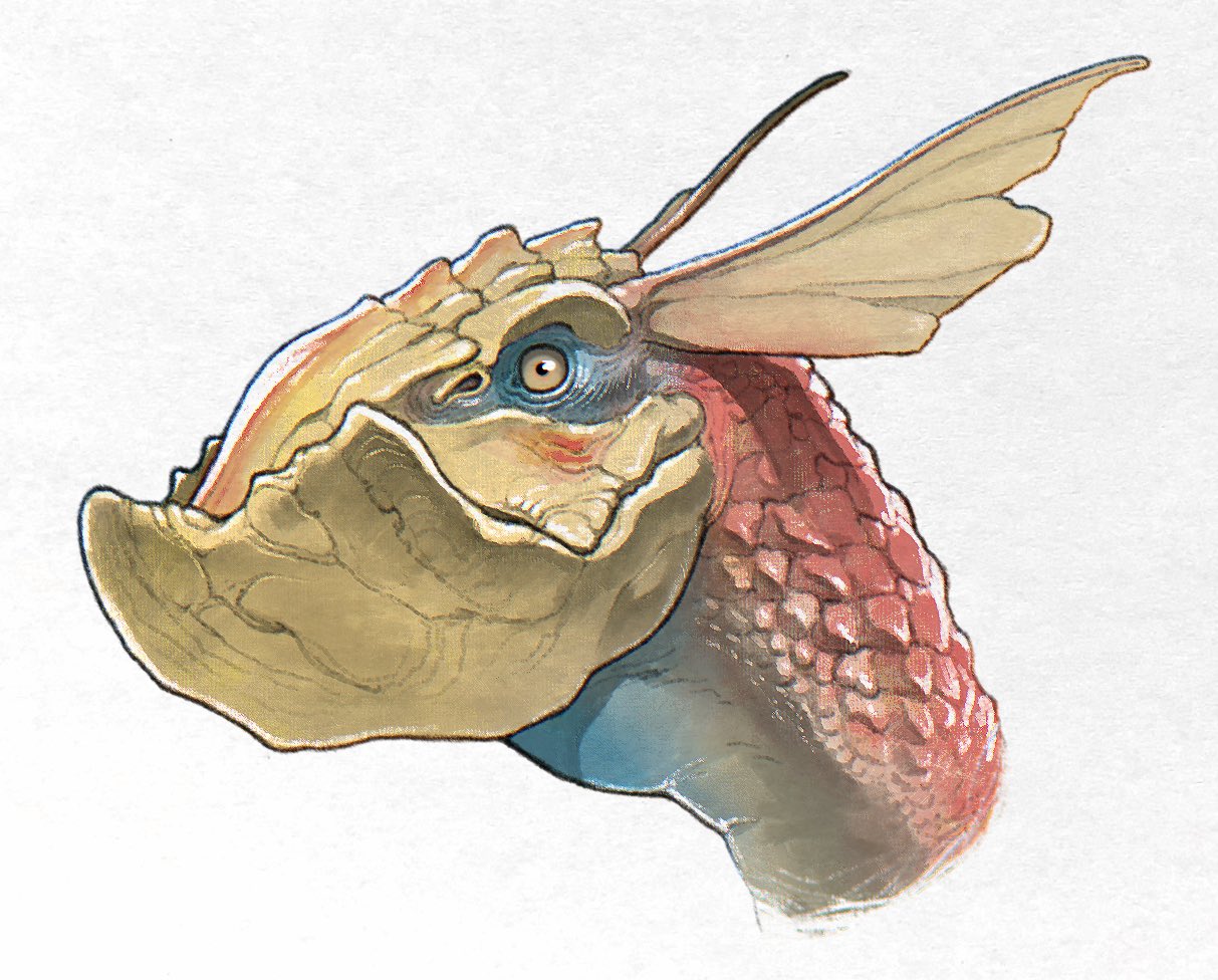 animal_focus, beak, fins, from_side, head_fins, monster, monster_hunter_(series), nao70shark1