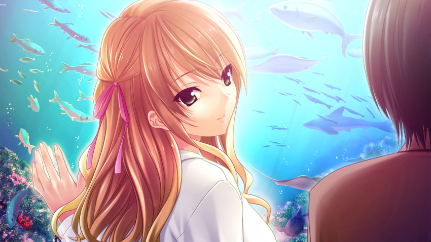 animal, erihara_kano, fish, game_cg, kisaragi_mizu, morobito_kozorite