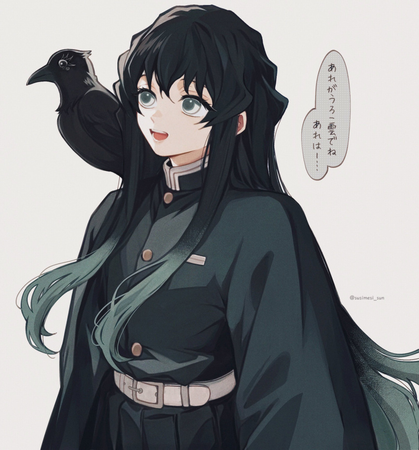 1boy, animal_on_shoulder, aqua_hair, belt, bird, bird_on_shoulder, black_hair, black_jacket
