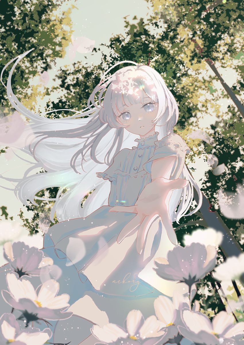 1girl, absurdres, blunt_bangs, dappled_sunlight, dress, expressionless, falling_petals, floating_hair