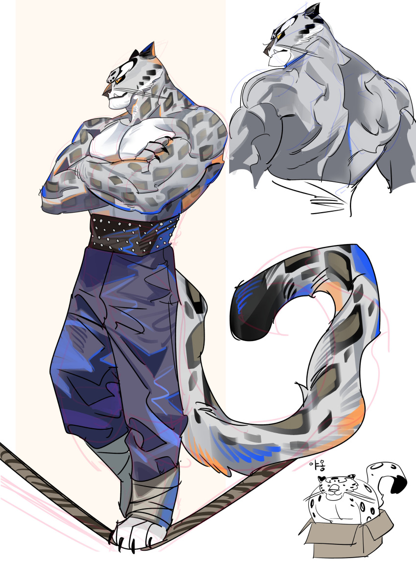 abs, absurdres, animal_ears, back, bandaged_leg, bandages, bare_back, bare_shoulders