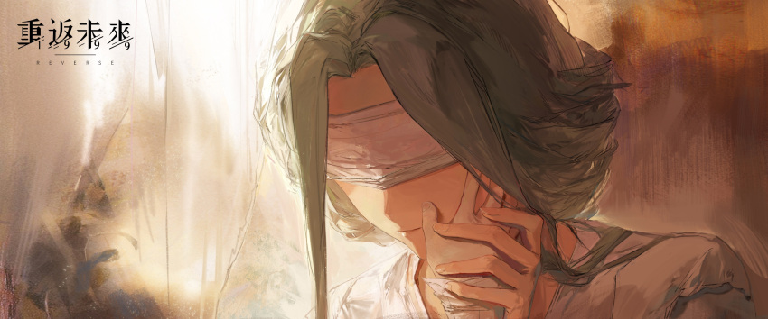 1girl, 1other, blindfold, blurry, blurry_background, commentary_request, copyright_name, covered_eyes